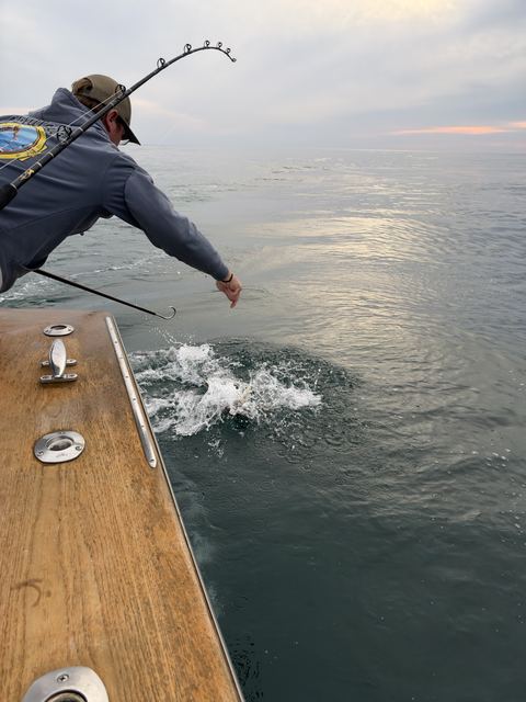 Reaching for a fish at the transom