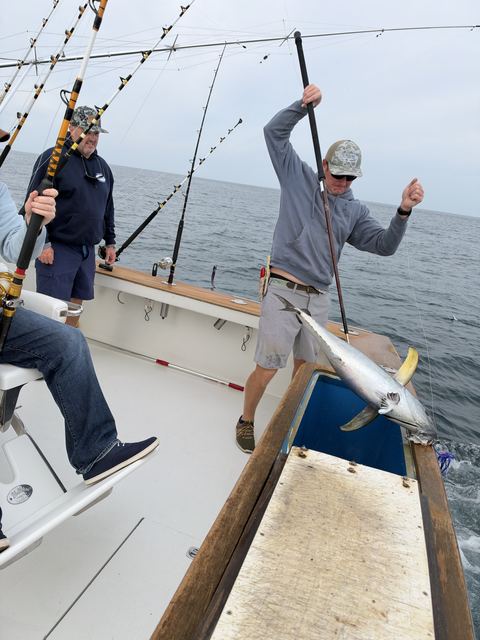 A tuna coming over the gunwale