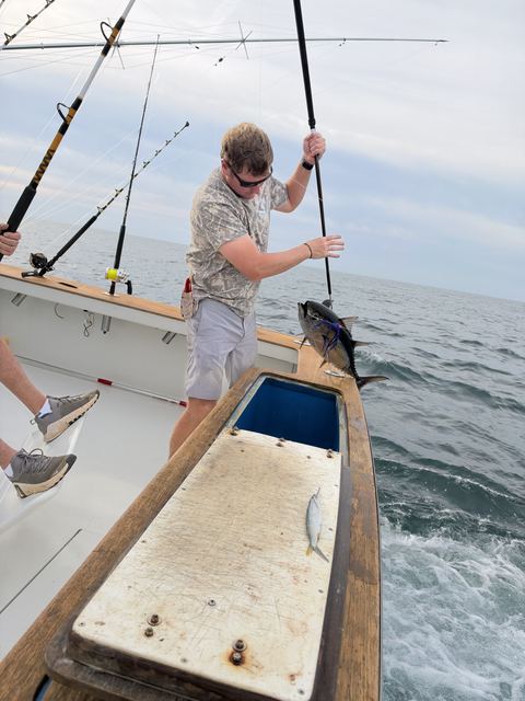 Swinging a blackfin into the boat