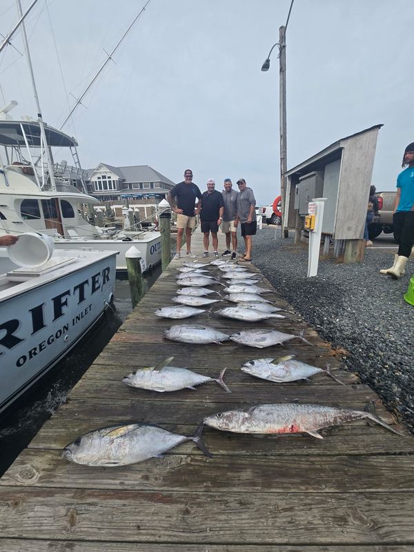 Drifter's winning catch of blackfin tuna and king mackerel laid out on the dock