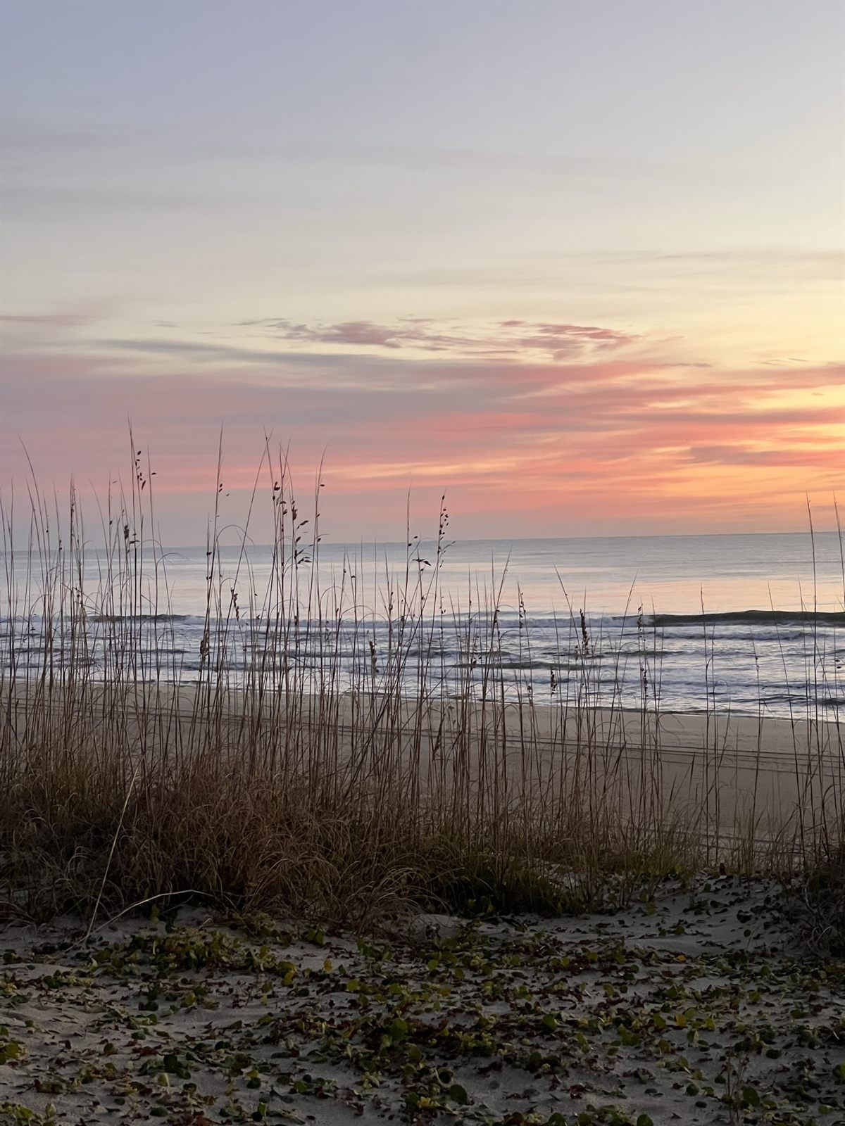 Soft pink sunrise over the dunes and sea oats