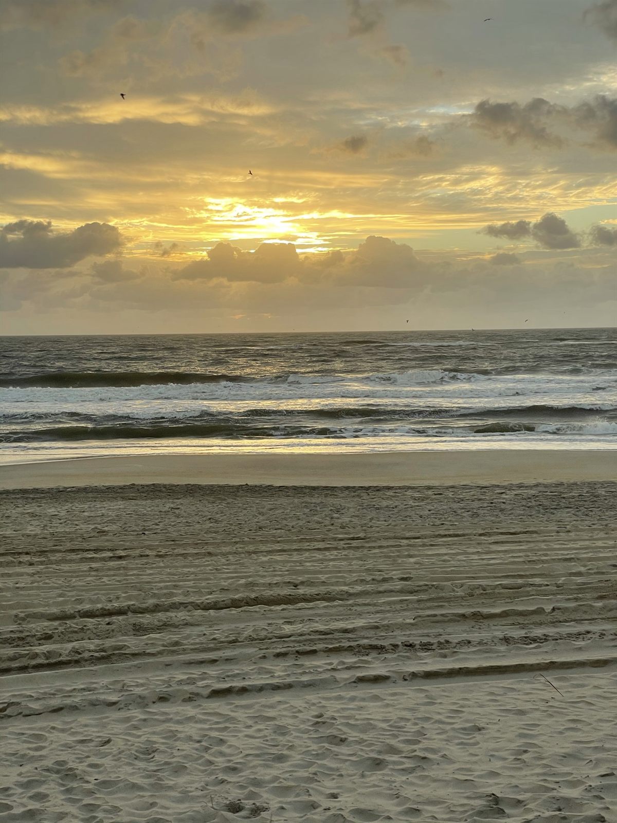Sunrise over the Atlantic with gulls along the surf